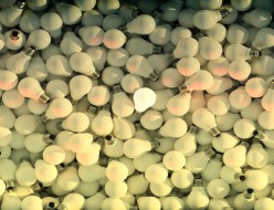 amazonギフト券使わない